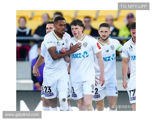 纽卡斯尔喷气机提前夺澳超首冠